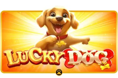 Platform samudra69 menampilkan pasar olahraga, live dealer, dan permainan slot